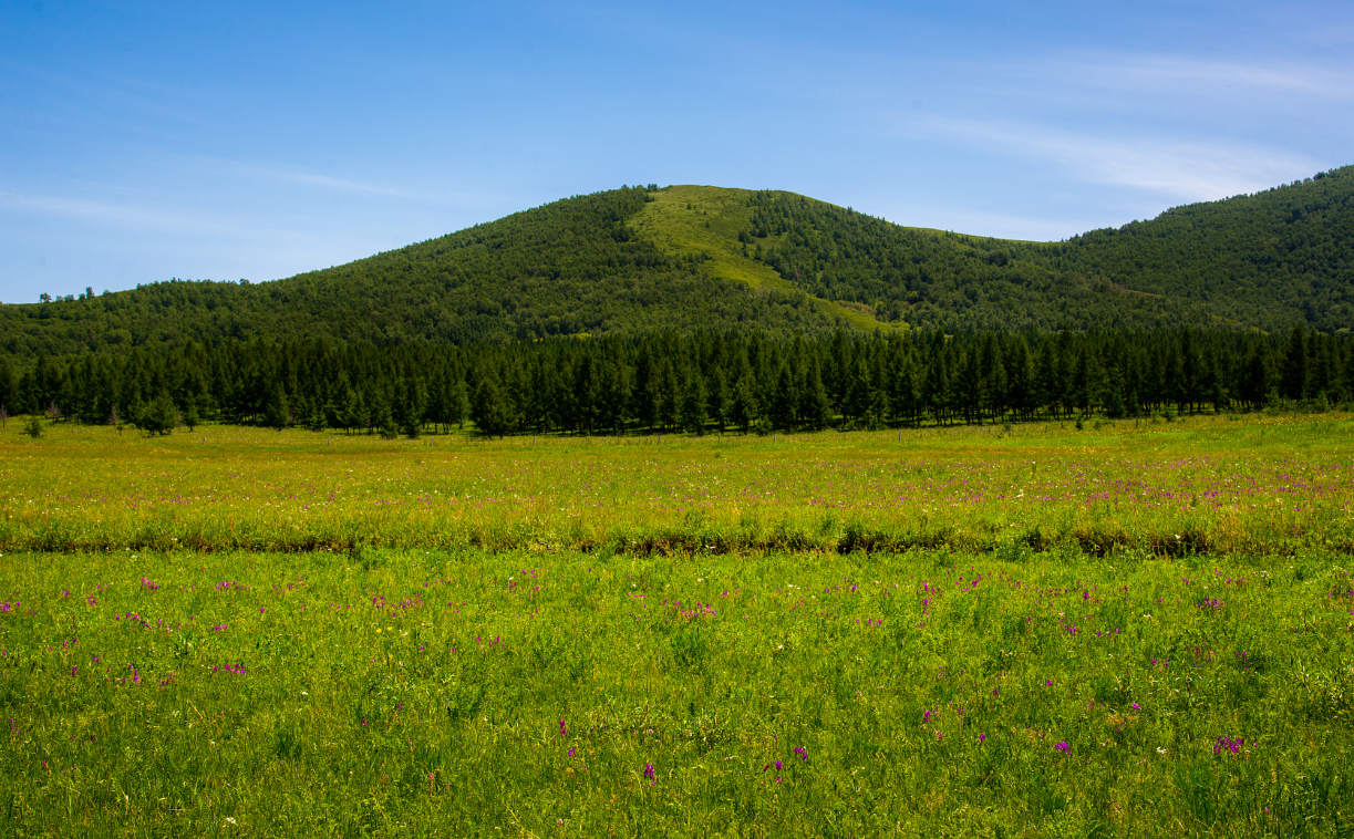 内蒙古首单草原碳汇交易落地达茂旗