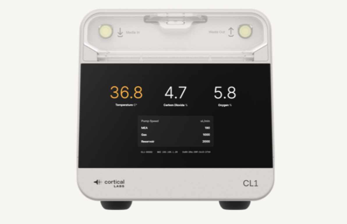 全球首批&ldquo;人脑细胞&rdquo;数据中心官宣落地墨尔本与新加坡