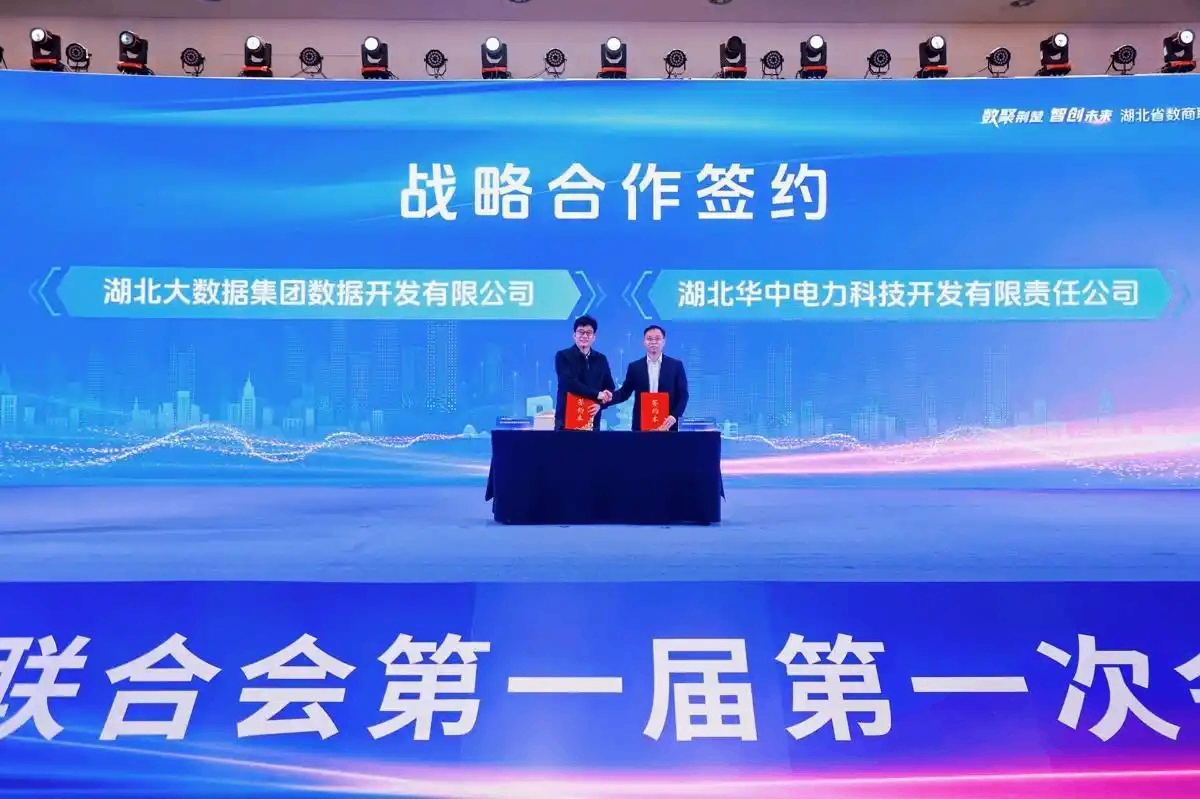 湖北省公共数据授权运营平台（电力专区）上线