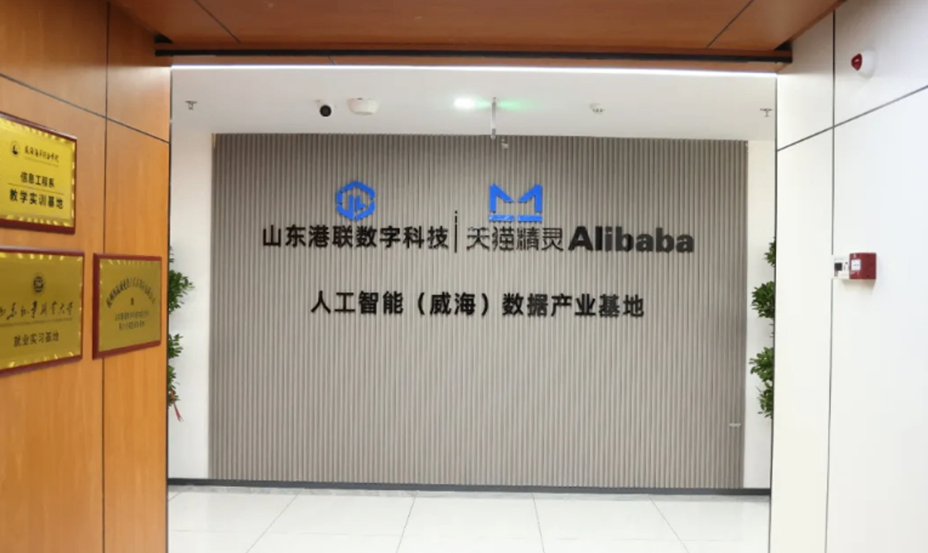 阿里巴巴首家盈利性数据基地落地威海，AI数据商业化加速推进