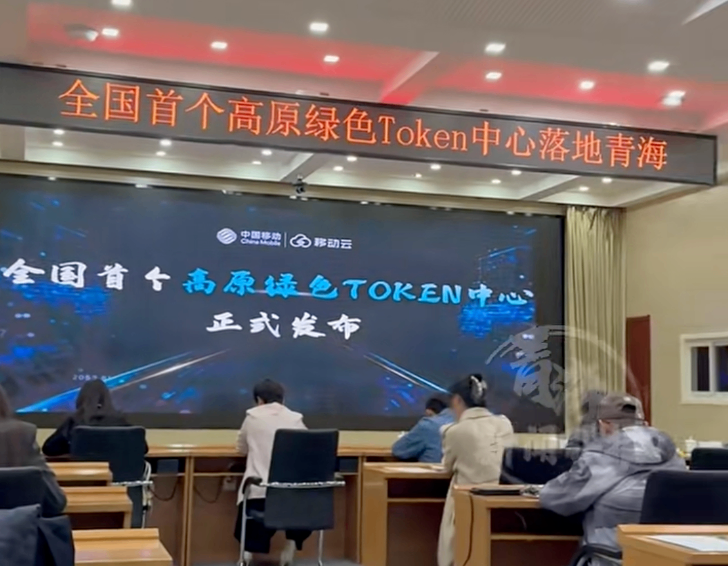 青海建成全国首个高原绿色Token中心